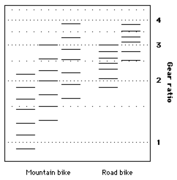 medium ratios